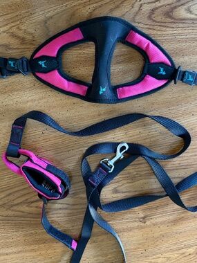 Gooby Escape Proof harness XS & Gooby 6ft wristband surfer leash